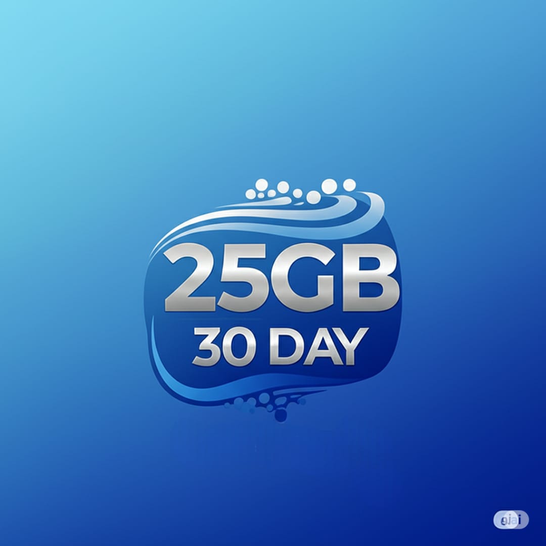 25GB